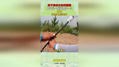 钓蝈蝈视频,钓蝈蝈视频带你领略自然之美