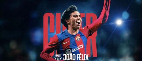 菲利克斯视频,揭秘精彩瞬间，带你领略非凡魅力