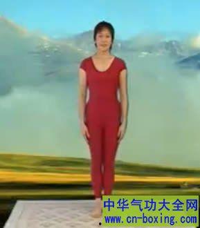 鱼佳基本动作视频,鱼佳基本动作视频精华解析