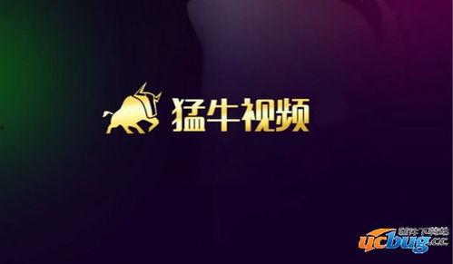 猛牛视频下载,轻松获取海量视频资源攻略