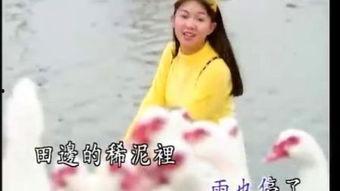卓依婷捉泥鳅视频,捉泥鳅视频引童年回忆