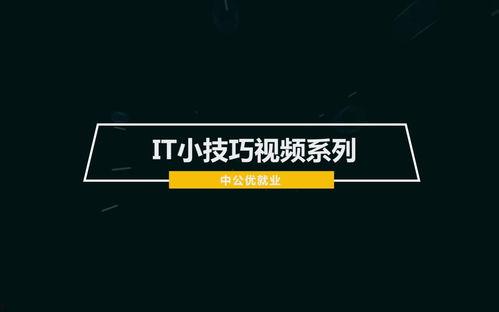 it视频,科技前沿与行业动态深度解析