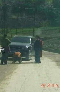 山阳新闻视频,聚焦热点事件,呈现最新动态