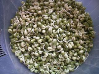 发绿豆芽的方法视频,视频教学助你成功发芽